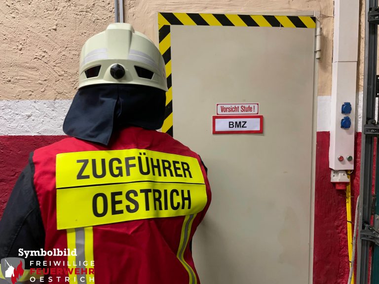 51/2025 Ausgelöste Brandmeldeanlage