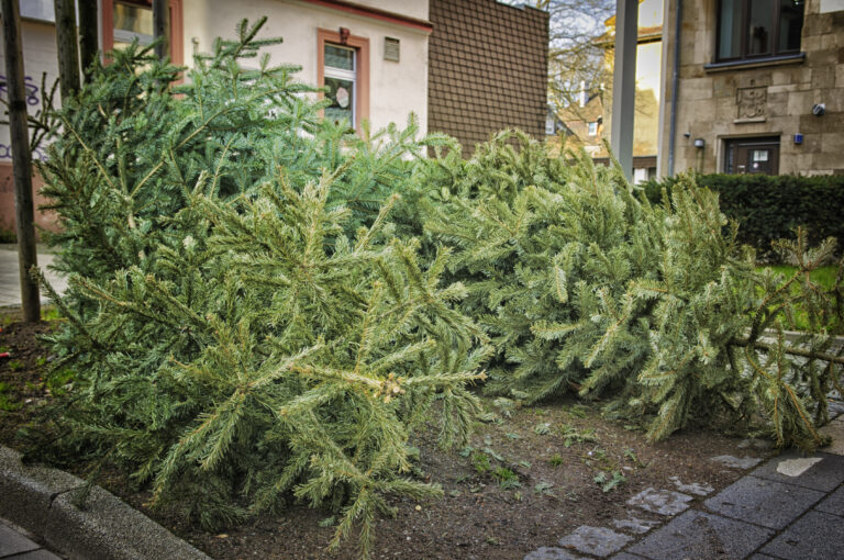 Presseinformation 27/2021 der Feuerwehr Stadt Oestrich-Winkel vom 30.12.2021
