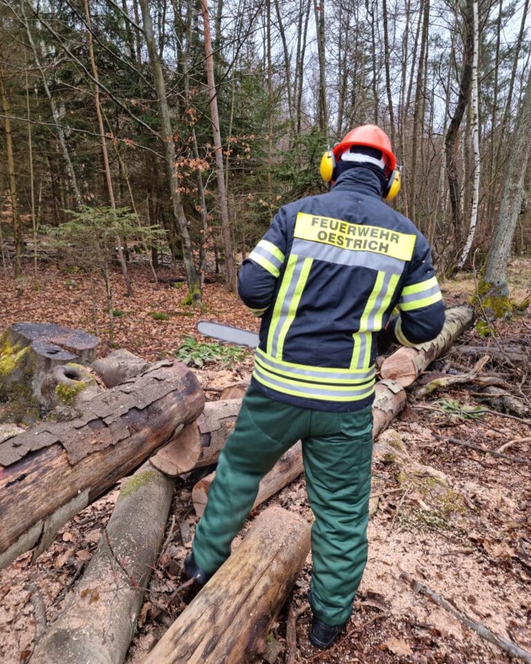 Motorkettensägenausbildung