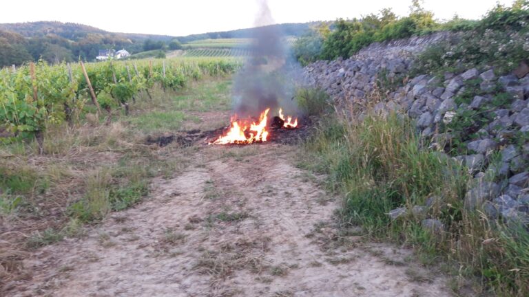 29/2022 Feuer klein außerorts