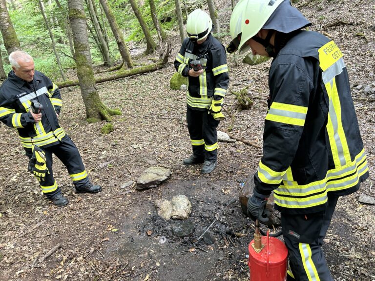 35/2023 Feuer im Wald