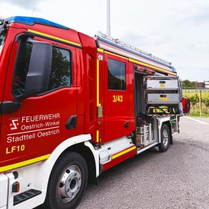 SnapInsta.to_504225254_18034748348646455_8368299560637060584_n