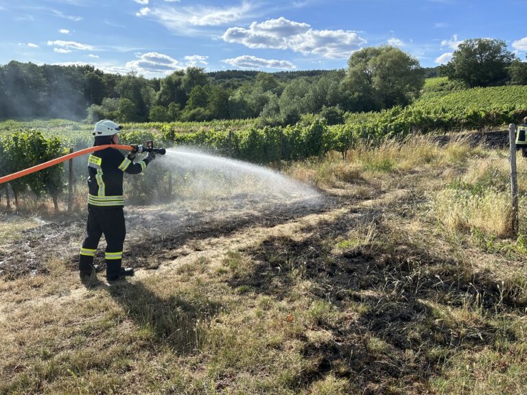31/2023 Flächenbrand